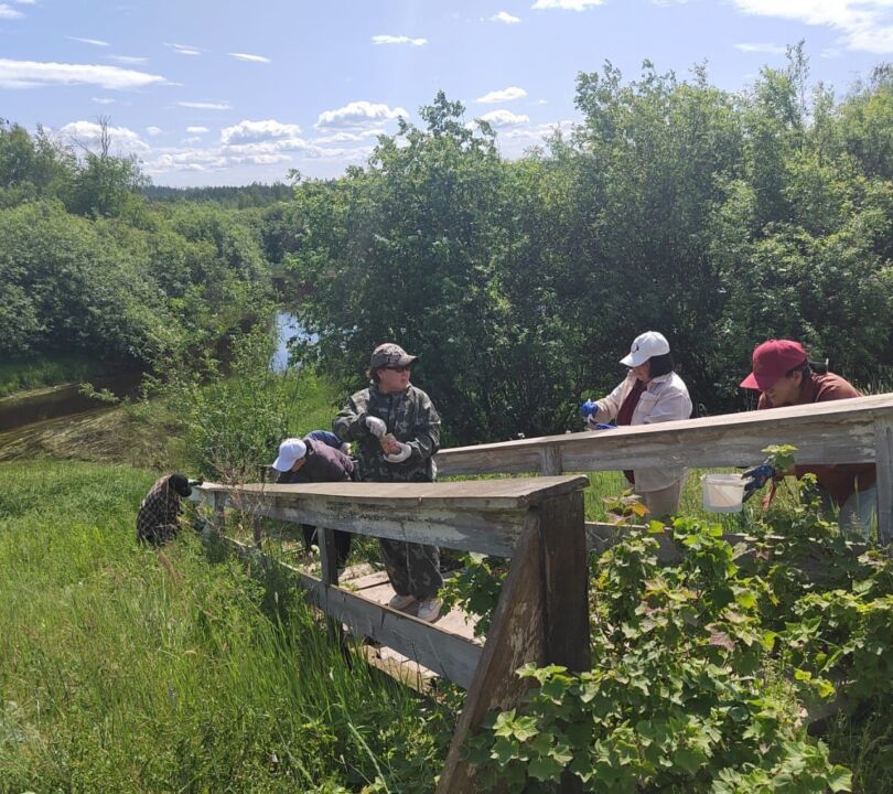 photo_5397592440514409096_y