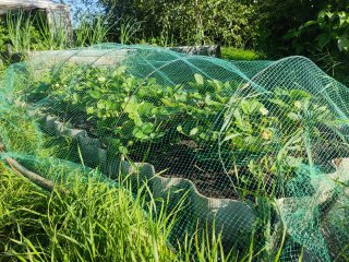 IMG_20250811_162224